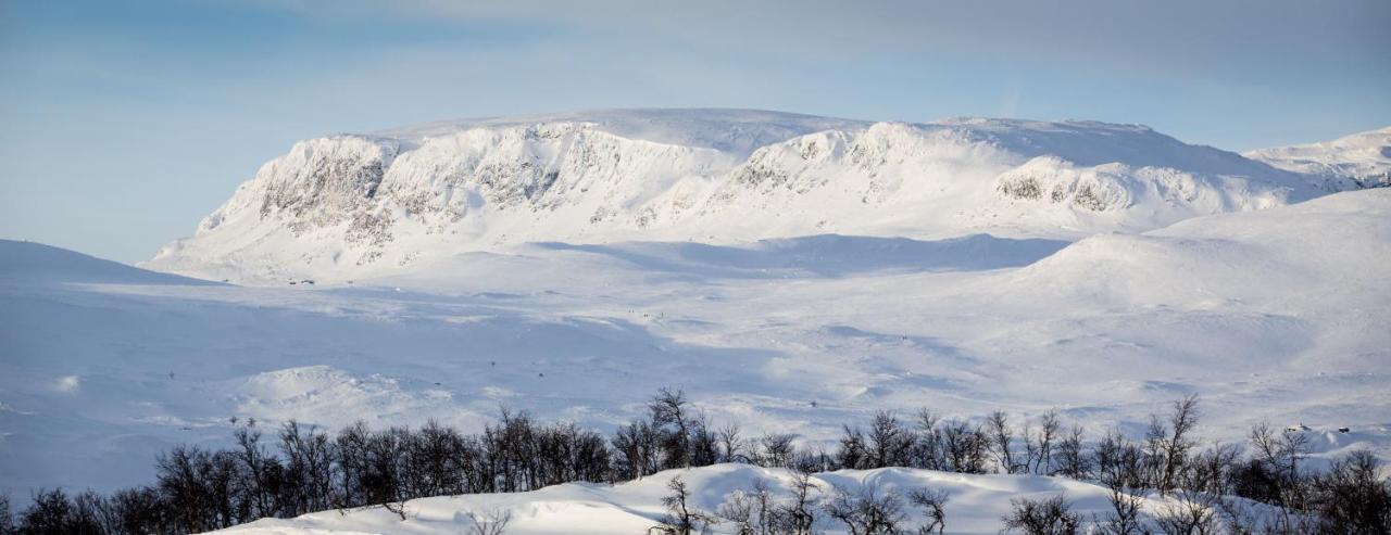 Kikut Alpin Lodge Ski In - Ski Out Geilo Eksteriør billede